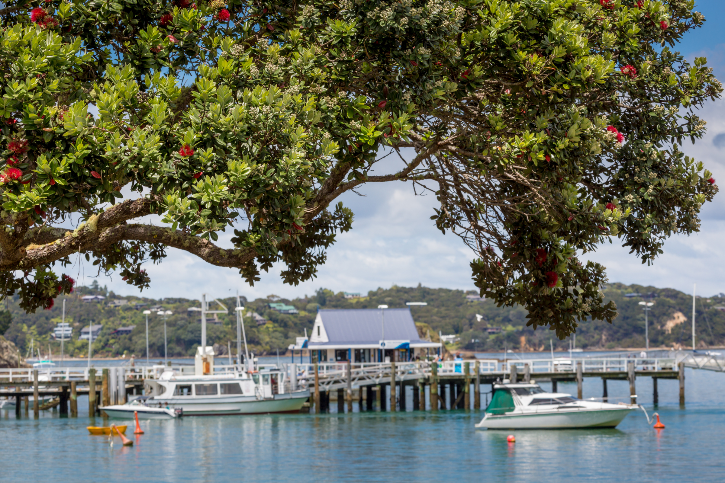 russel, bay of islands 01.webp